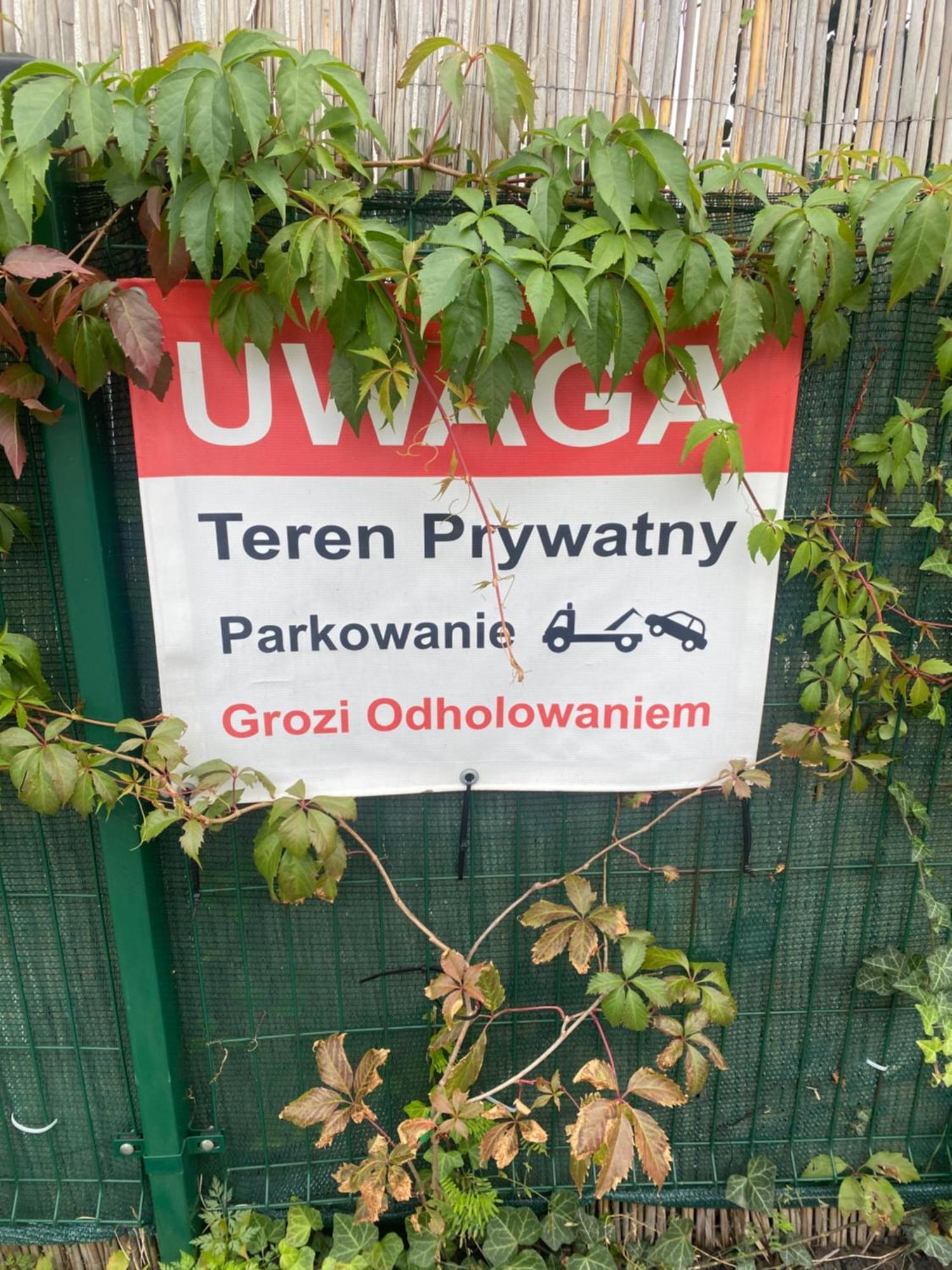 Polli Grudziądz